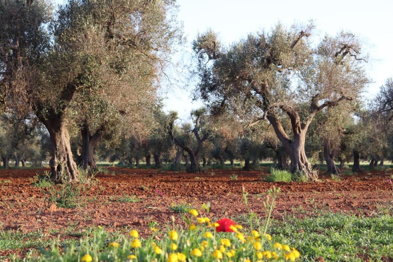 B&B Passione Del Sud Lecce Zewnętrze zdjęcie